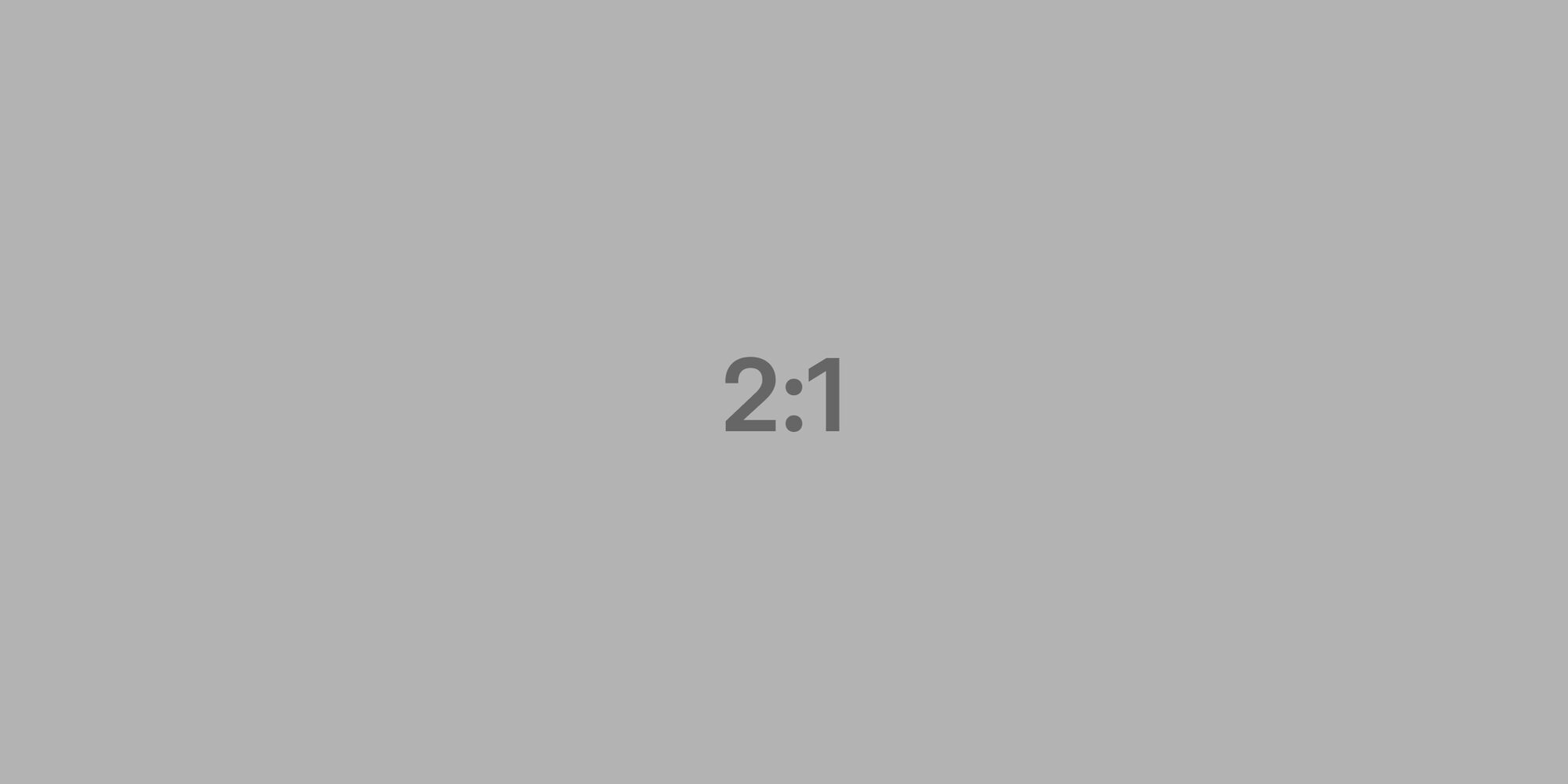 2x1.png