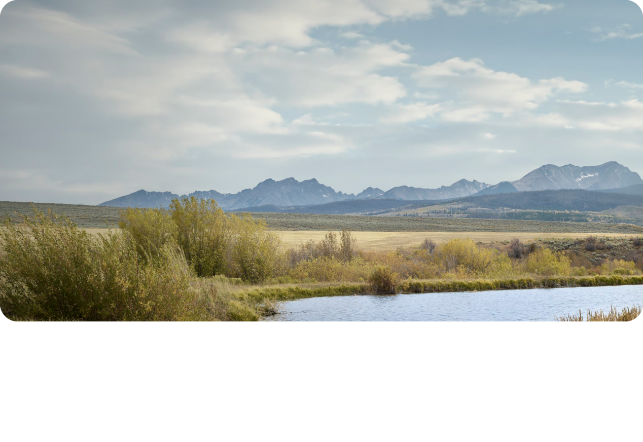 Image de pré pour le Chevrolet Suburban LS 2026.