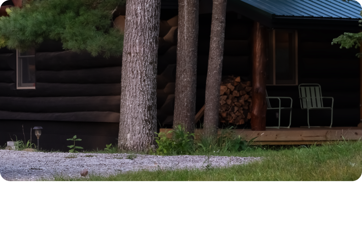 Scenic Landscape of Pine Tree Trunks Next to a Log Cabin.