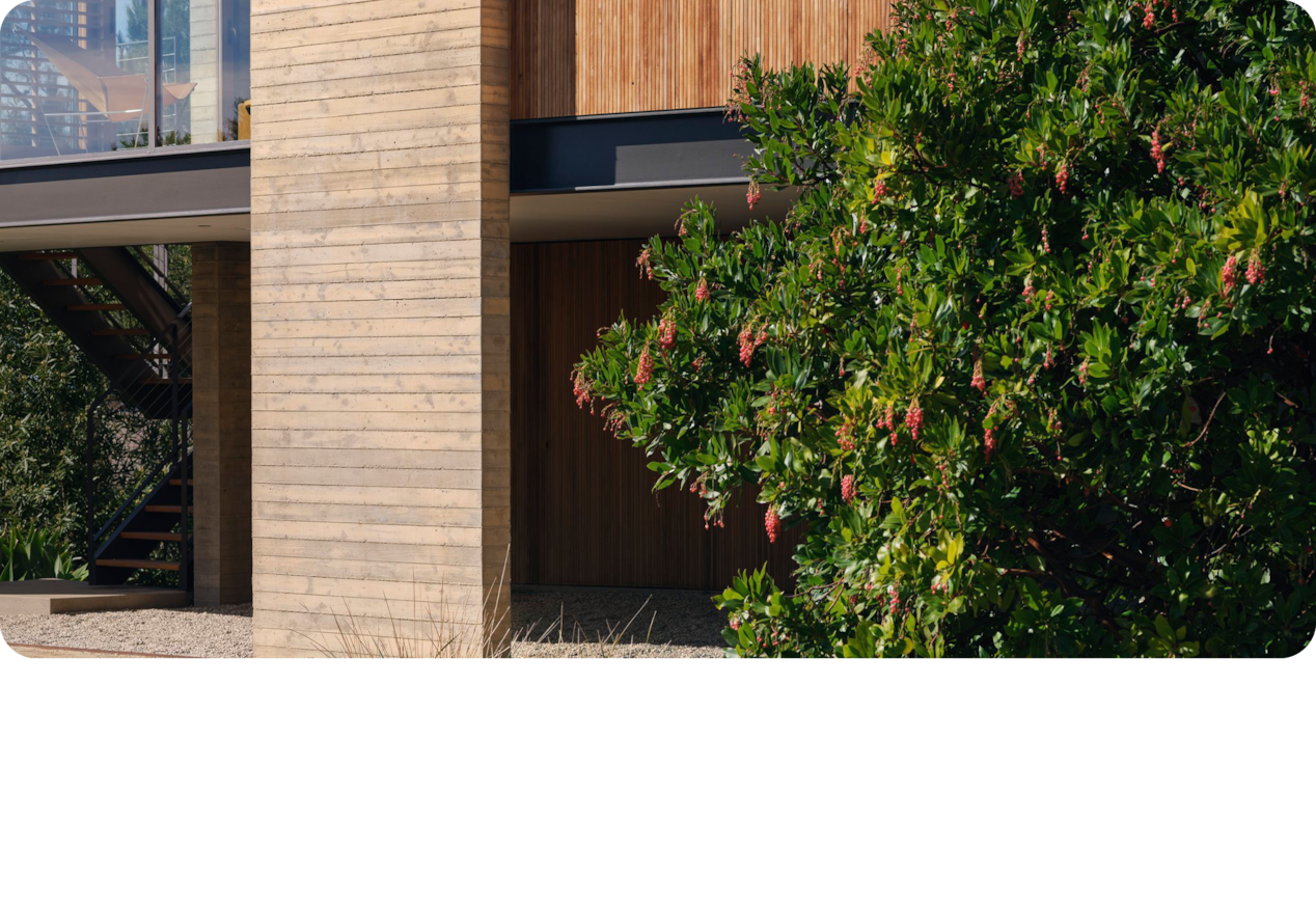 Scenic Landscape of a Modern Building Next to a Tree with Hanging Flowers.