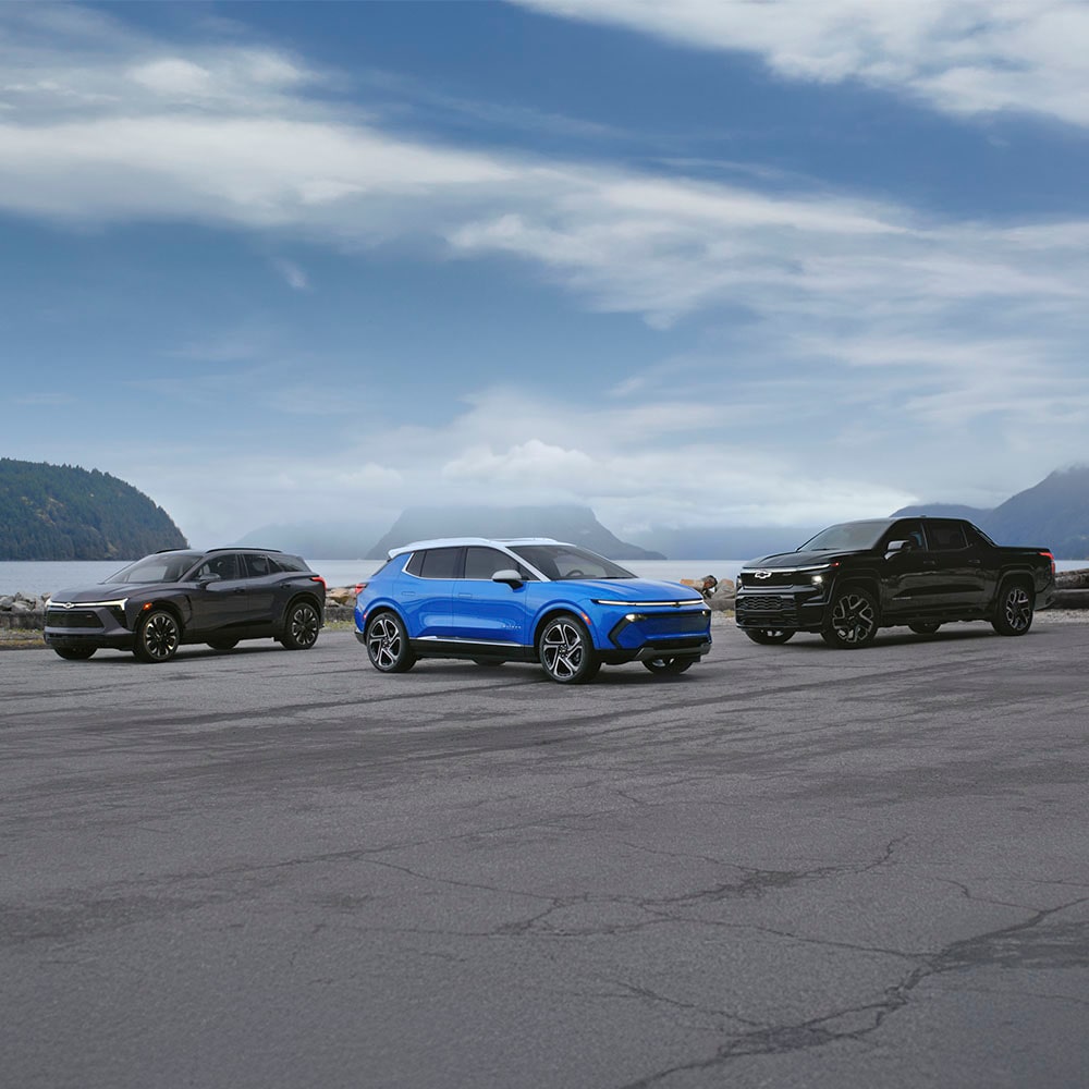 2025 Electric vehicles