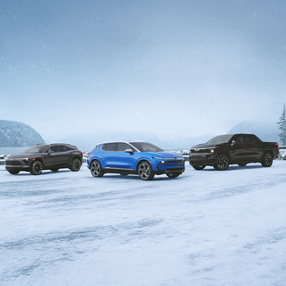 2025 Electric vehicles