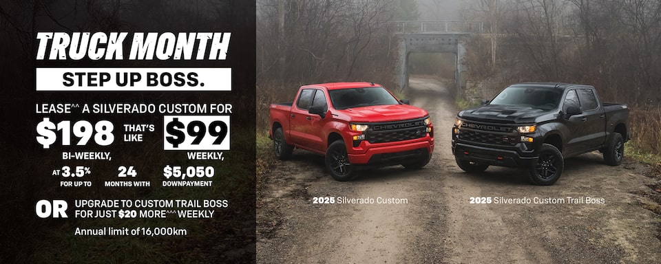 Custom Trail Boss Step Up Boss