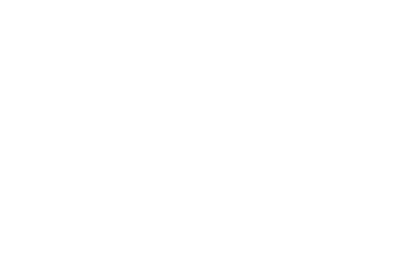 Summer Drive Event Logo