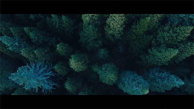 Video of OnStar's features.