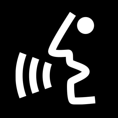 Voice Command icon.