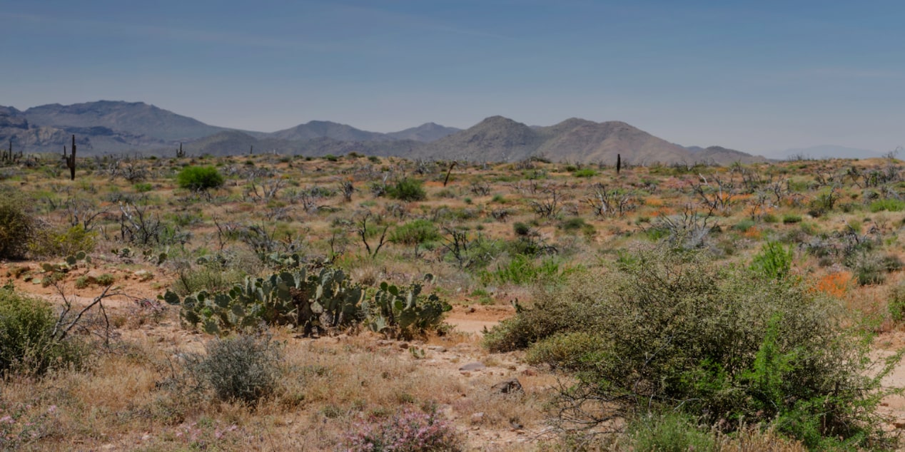 Silverado HD 2026 en LT version