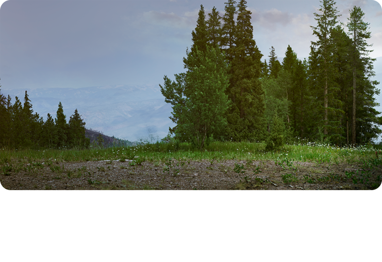 Image d’arbres pour le Chevrolet Silverado LD 2026.
