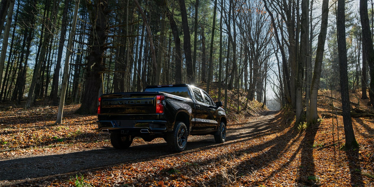 Vue arrière du Silverado dans les bois