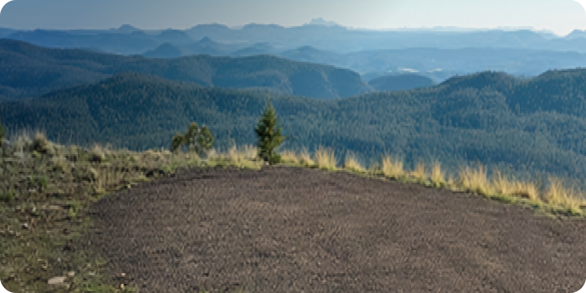 Rocky terrain backplate for the 2026 Chevrolet Silverado LD .