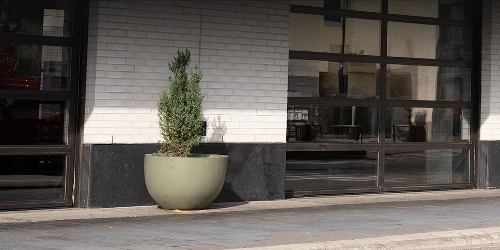 Modern building entrance with large glass doors and a potted plant along the sidewalk.