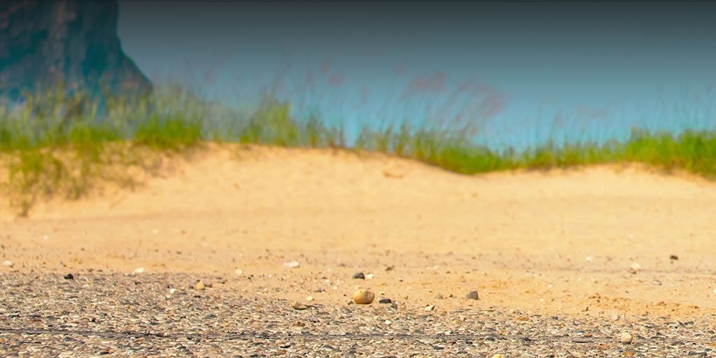 Sandy beach landscape with coastal dunes, grass-covered sandbanks, and blue sky in the background.