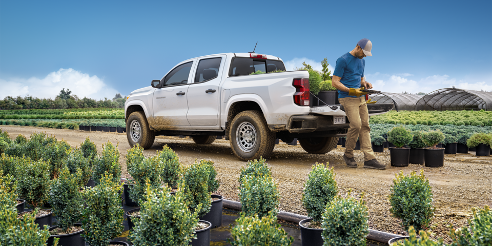 A person loading potted plants into the cargo bed of the 2024 Chevrolet Colorado work truck.