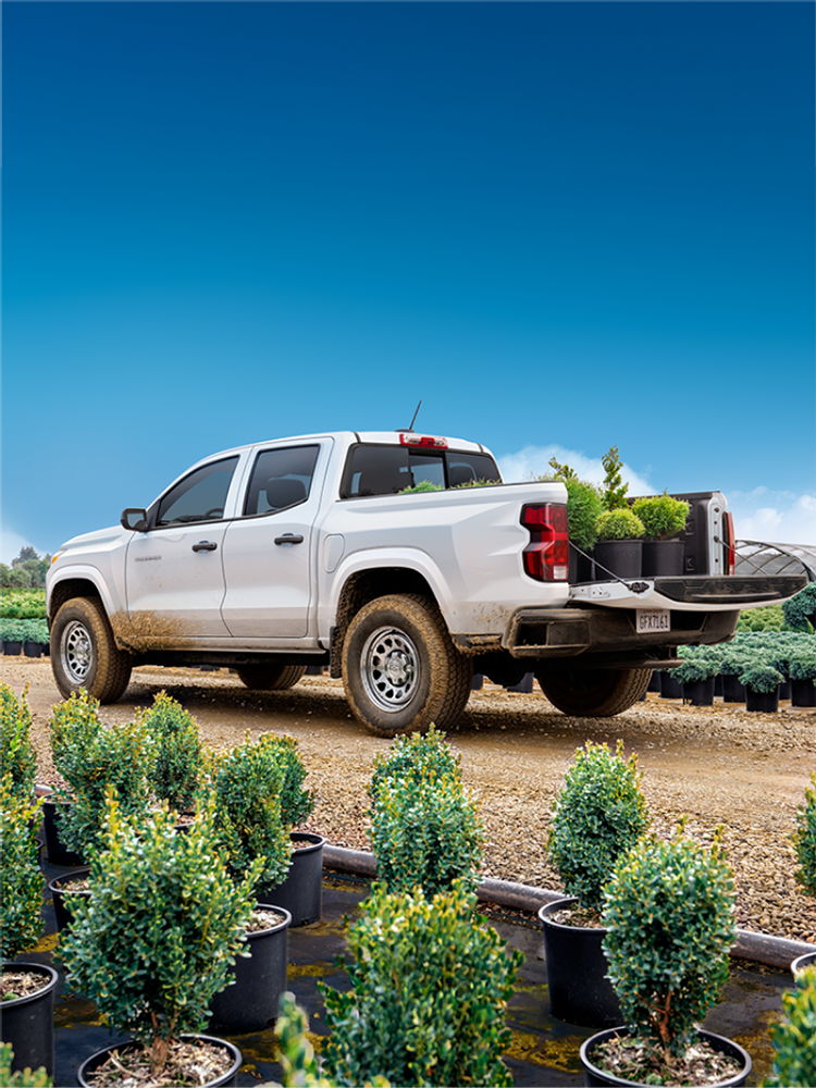 Une personne met des plantes dans la caisse du camion de travail Chevrolet Colorado 2026.