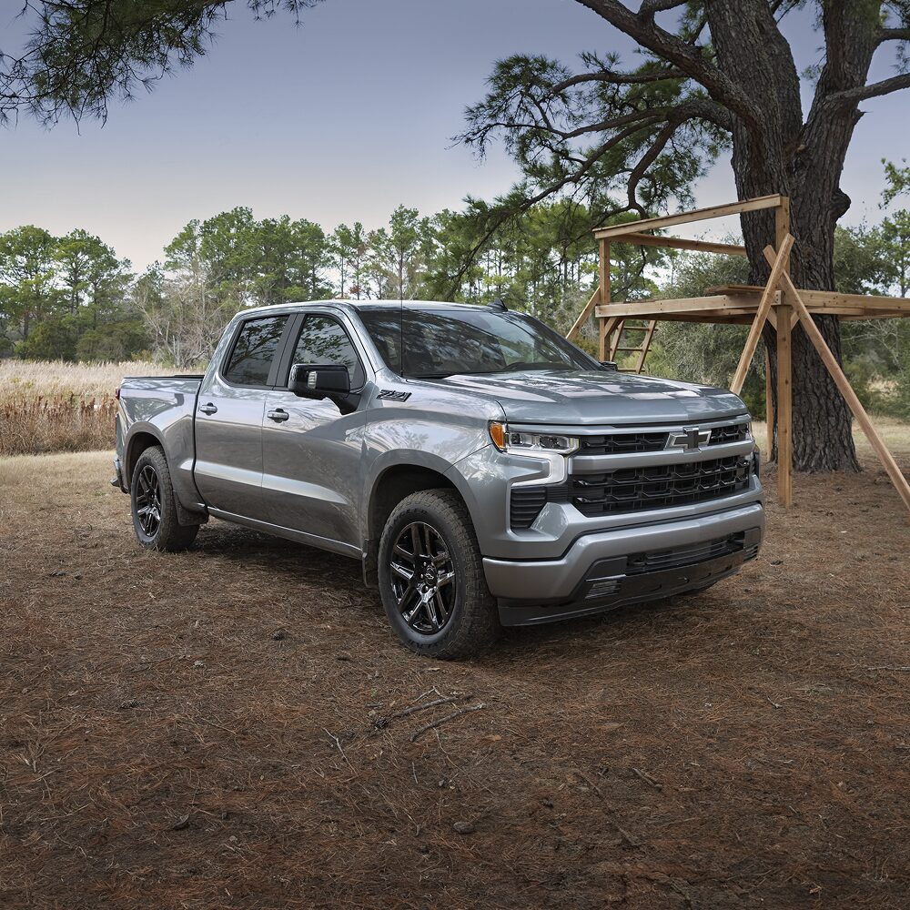 Le camion de travail Chevrolet Silverado LD commercial 2026 stationné devant un arbre.